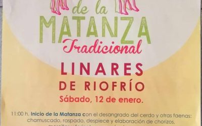 Matanza 2019