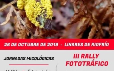 Jornadas micológicas 2019