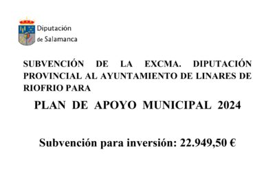 Plan de apoyo municipal 2024